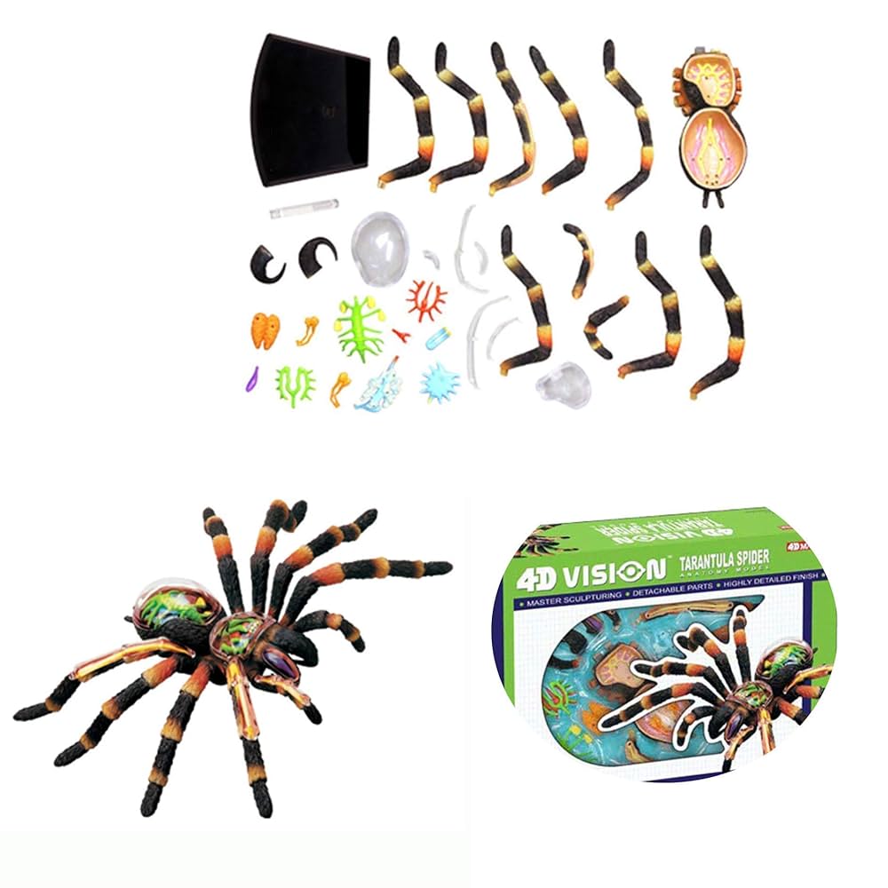 実習解剖学　絶版 Amazon.co.jp: 実習解剖学 : 山田 致知, 萬年 甫: 本